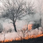 stacey slamka wildfire season